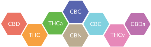 Principales cannabinoides